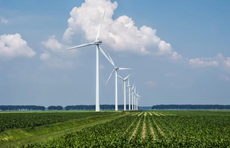 Nordeste lidera ranking de empresas que adotam fontes renováveis no país 7 energia