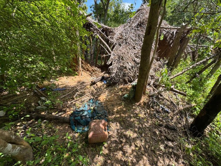 apos-relato-de-menino-de-8-anos,-caes-farejadores-indicam-que-criancas-desaparecidas-estiveram-em-casa-abandonada-no-ma