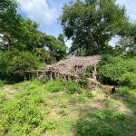 menino-de-8-anos-foi-encontrado-a-500-metros-de-casa-no-meio-do-mato-apos-sair-para-buscar-ajuda;-primos-seguem-desaparecidos-no-ma