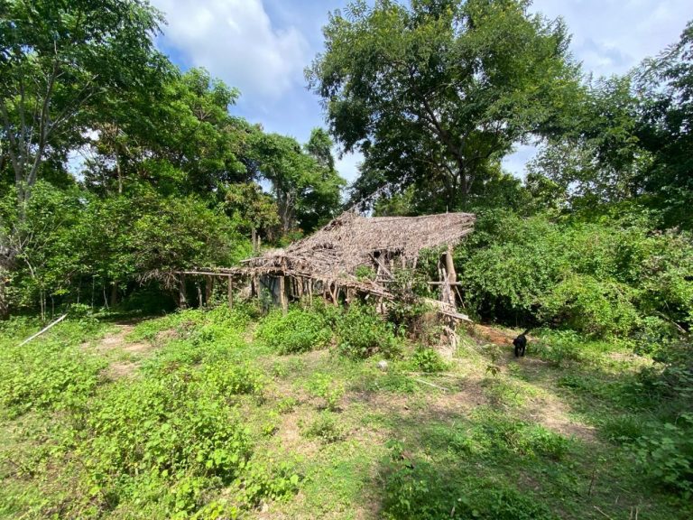 menino-de-8-anos-foi-encontrado-a-500-metros-de-casa-no-meio-do-mato-apos-sair-para-buscar-ajuda;-primos-seguem-desaparecidos-no-ma