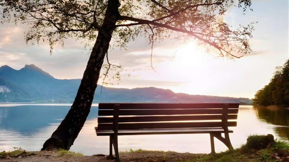 30-de-janeiro:-o-dia-da-saudade-e-o-direito-de-sentir