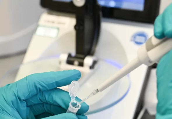 cientistas-descobrem-ser-vivo-que-nao-se-encaixa-em-categorias-conhecidas