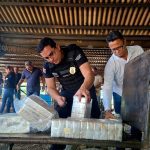 policia-civil-incinera-250-kg-de-pasta-base-de-cocaina-apreendidos-na-br-230,-em-balsas