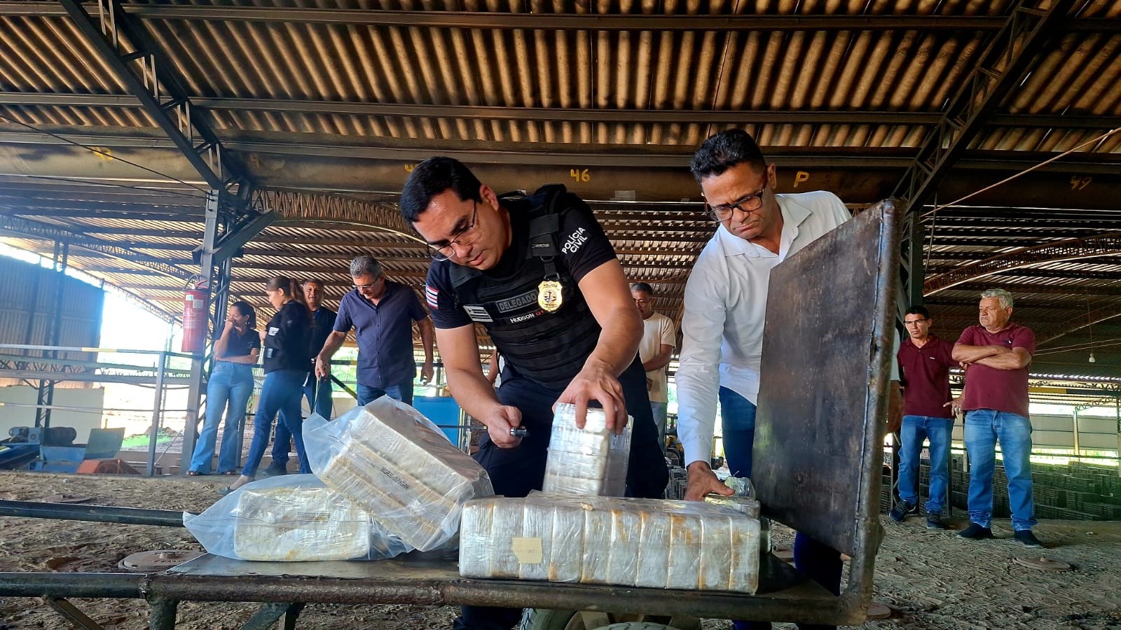 policia-civil-incinera-250-kg-de-pasta-base-de-cocaina-apreendidos-na-br-230,-em-balsas