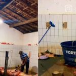 justica-determina-interdicao-do-matadouro-de-nova-iorque;-local-tem-condicoes-sanitarias-precarias