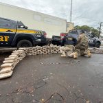 prf-apreende-213-kg-de-skunk-dentro-de-caminhao-frigorifico-na-br-135,-em-peritoro