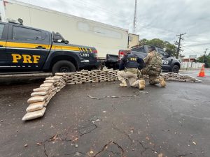 prf-apreende-213-kg-de-skunk-dentro-de-caminhao-frigorifico-na-br-135,-em-peritoro