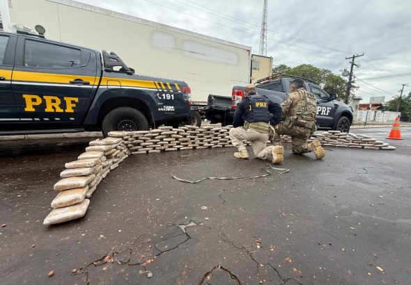 prf-apreende-213-kg-de-skunk-dentro-de-caminhao-frigorifico-na-br-135,-em-peritoro