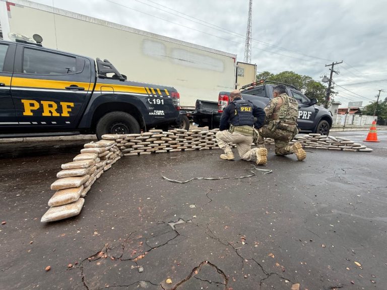 prf-apreende-213-kg-de-skunk-dentro-de-caminhao-frigorifico-na-br-135,-em-peritoro