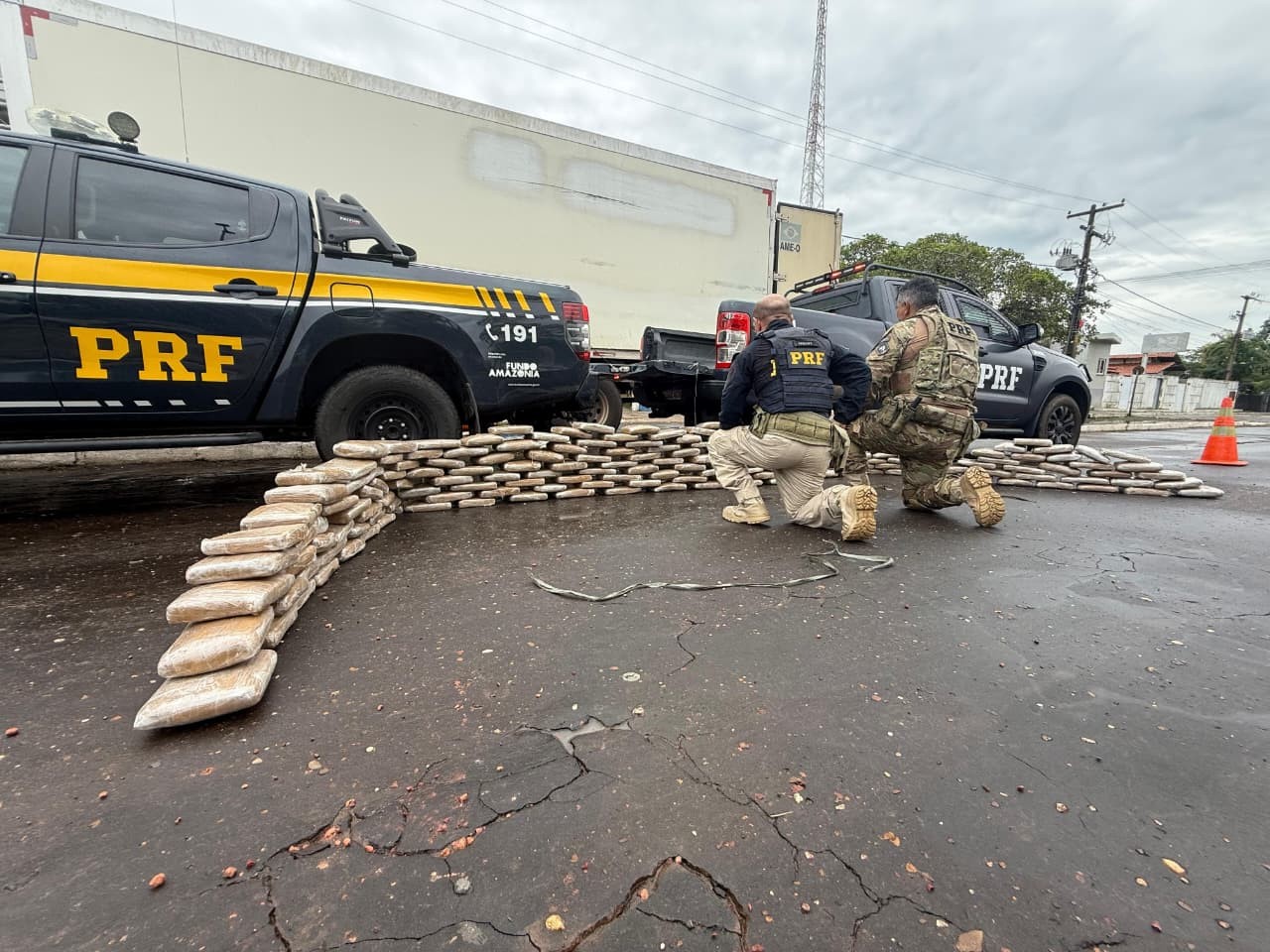 prf-apreende-213-kg-de-skunk-dentro-de-caminhao-frigorifico-na-br-135,-em-peritoro