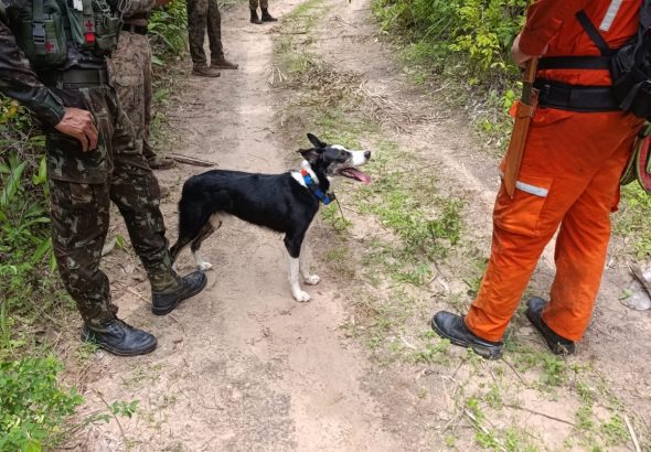 apos-42-dias,-caso-de-criancas-desaparecidas-segue-sem-avancos-no-maranhao