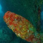 ma-recebe-projeto-para-monitoramento-e-restauracao-de-corais-em-parque-estadual-na-cidade-de-cururupu