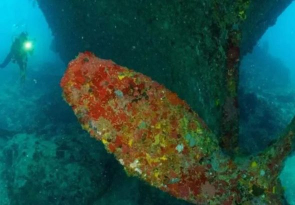 ma-recebe-projeto-para-monitoramento-e-restauracao-de-corais-em-parque-estadual-na-cidade-de-cururupu