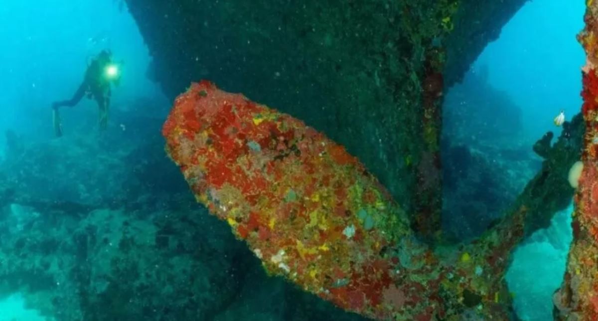 ma-recebe-projeto-para-monitoramento-e-restauracao-de-corais-em-parque-estadual-na-cidade-de-cururupu