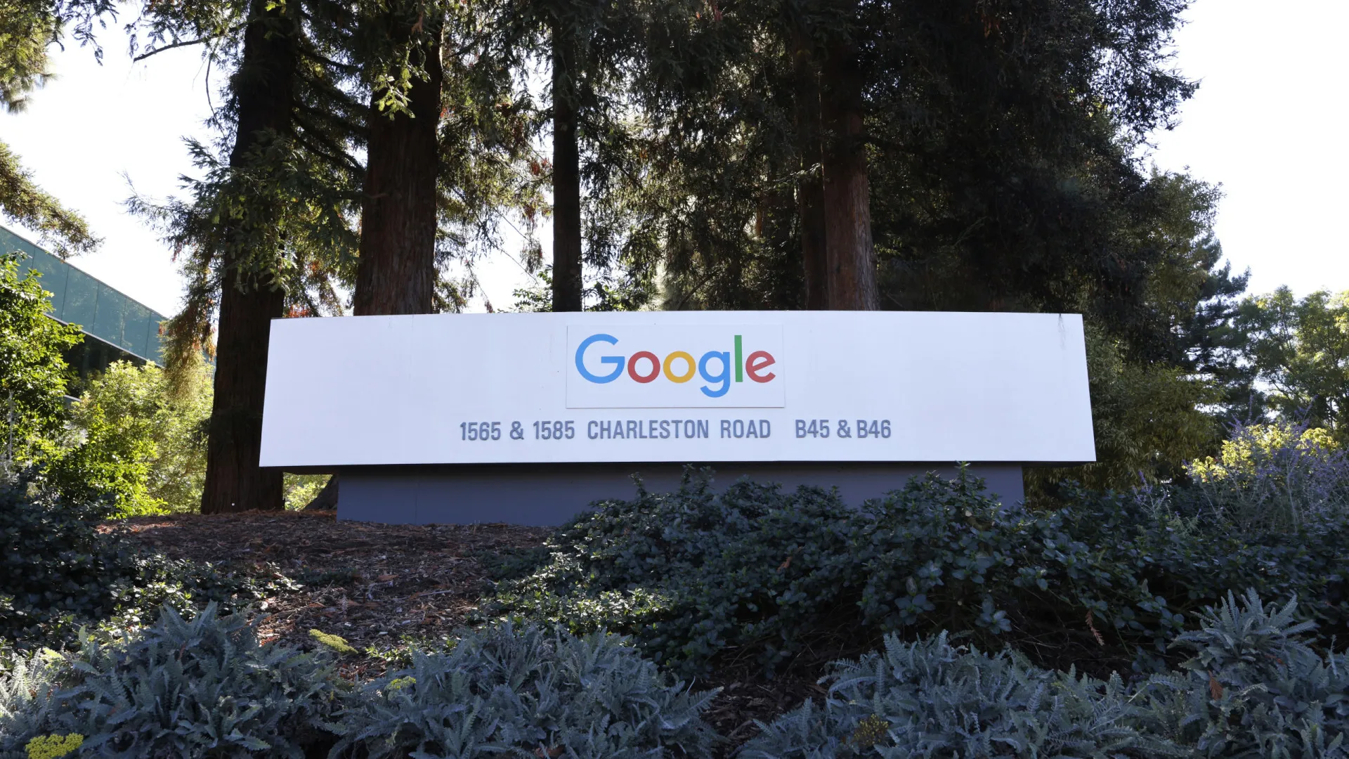 ong:-gigantes-tecnologicas-mentem-sobre-os-beneficios-climaticos-da-ia