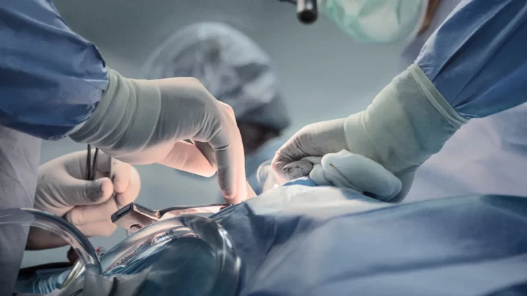 vaticano-autoriza-xenotransplante-para-catolicos,-mas-aponta-ressalvas