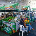 fapema-abre-60-vagas-para-monitores-da-feira-maranhense-da-agricultura-familiar-2026;-inscricoes-seguem-ate-15-de-junho